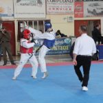 Καρδίτσα - Πανελλήνιο Σχολικό Πρωτάθλημα TKD (3-4/4/2019)