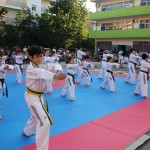 Α.Σ. Σάτζα ετήσια επίδειξη Συλλόγου 2012 ( 09/06/2012 )
Tae Kwon Do